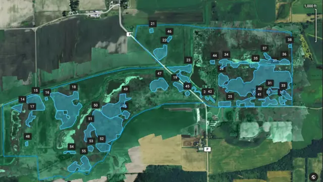Weed detection map with blue infestation polygons