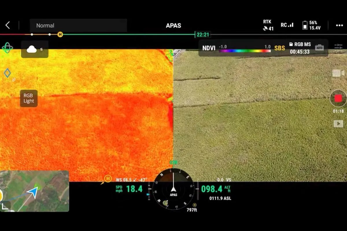 DJI Pilot app showing a live NDVI view beside the RGB camera
