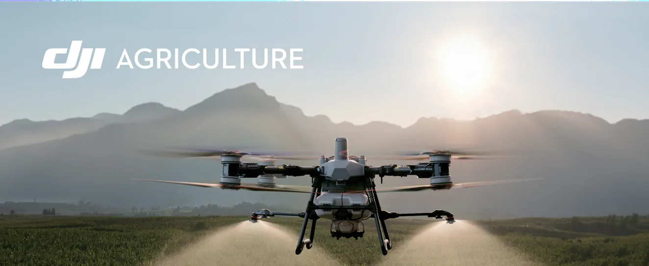 DJI Agras T100 spraying a field of young maize at sunrise