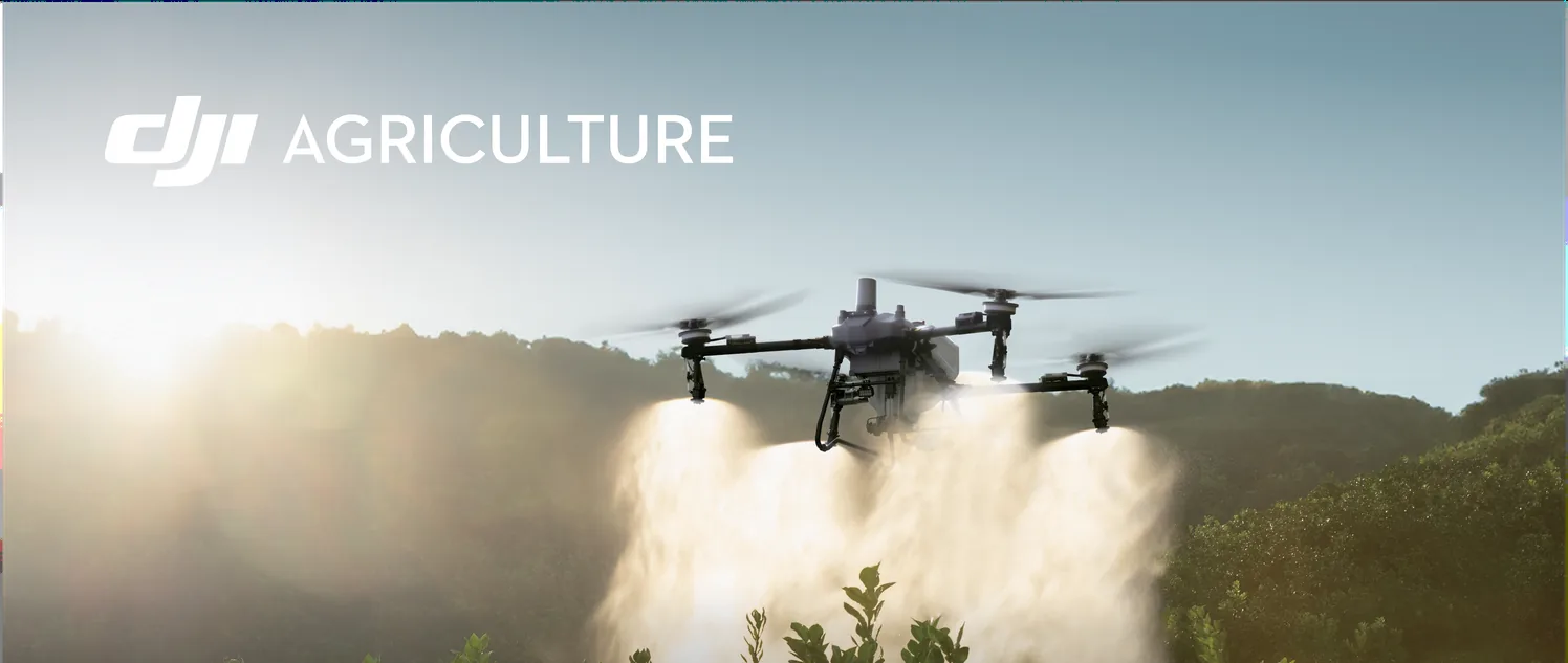DJI Agras T70P spraying over an orchard at sunrise